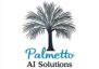 Palmetto AI Solutions